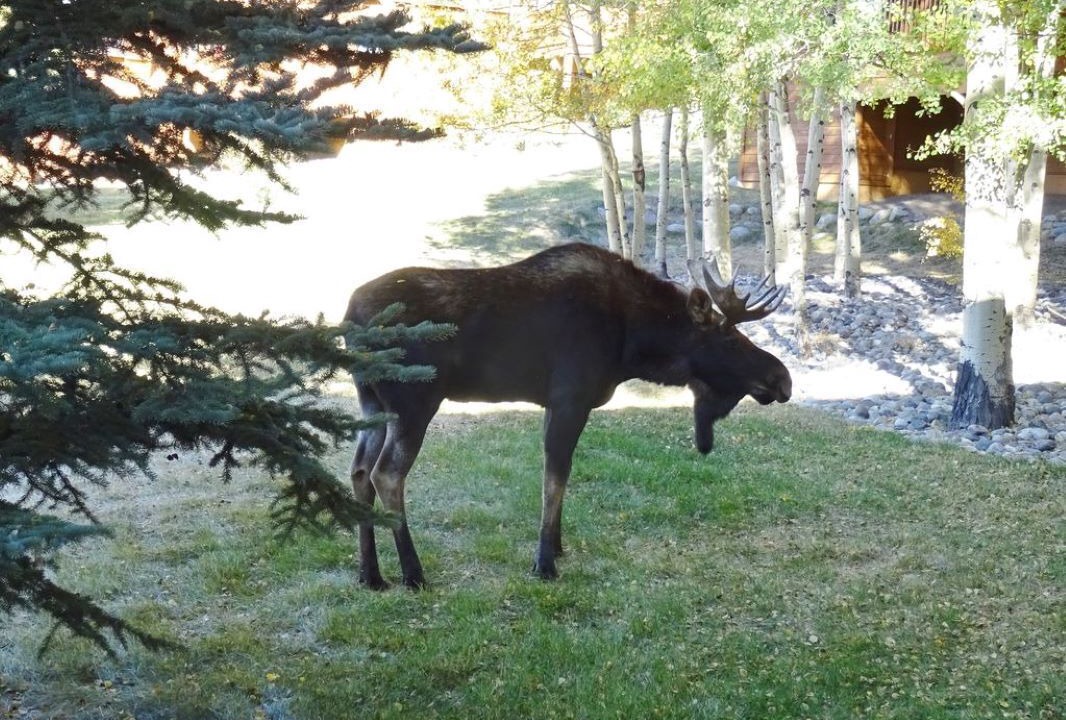 Photo of Outdoor in Keystone