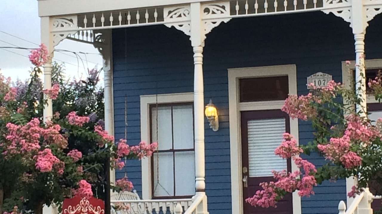 Photo of Outdoor in New Iberia