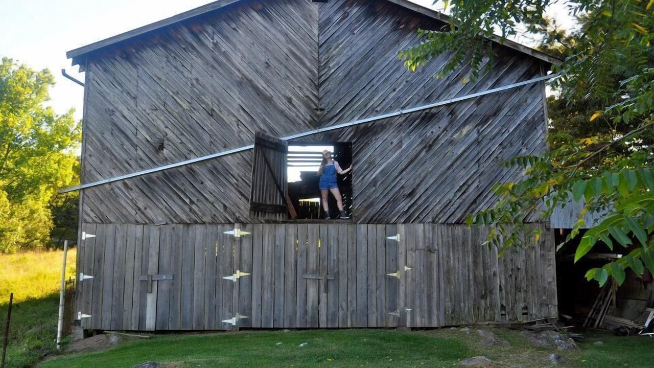 Photo of Outdoor in Rogersville