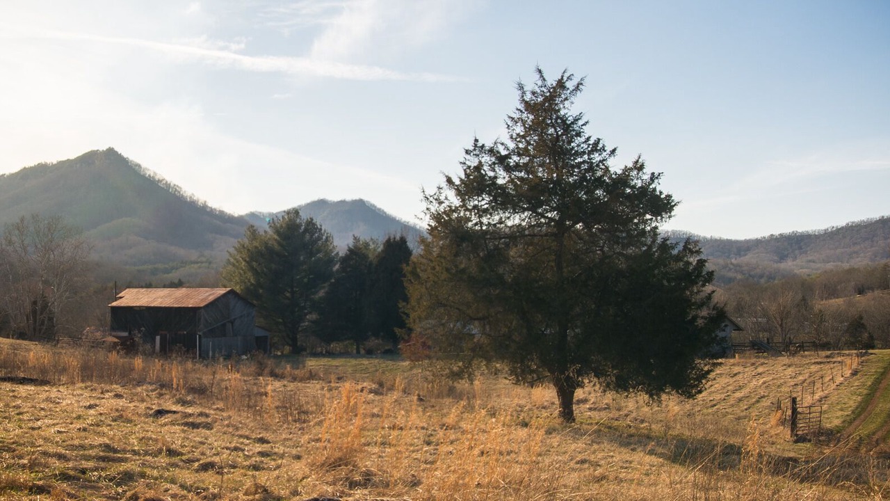 Photo of Outdoor in Rogersville