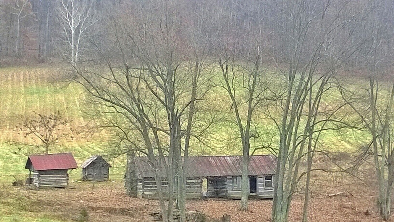 Photo of Outdoor in Rogersville