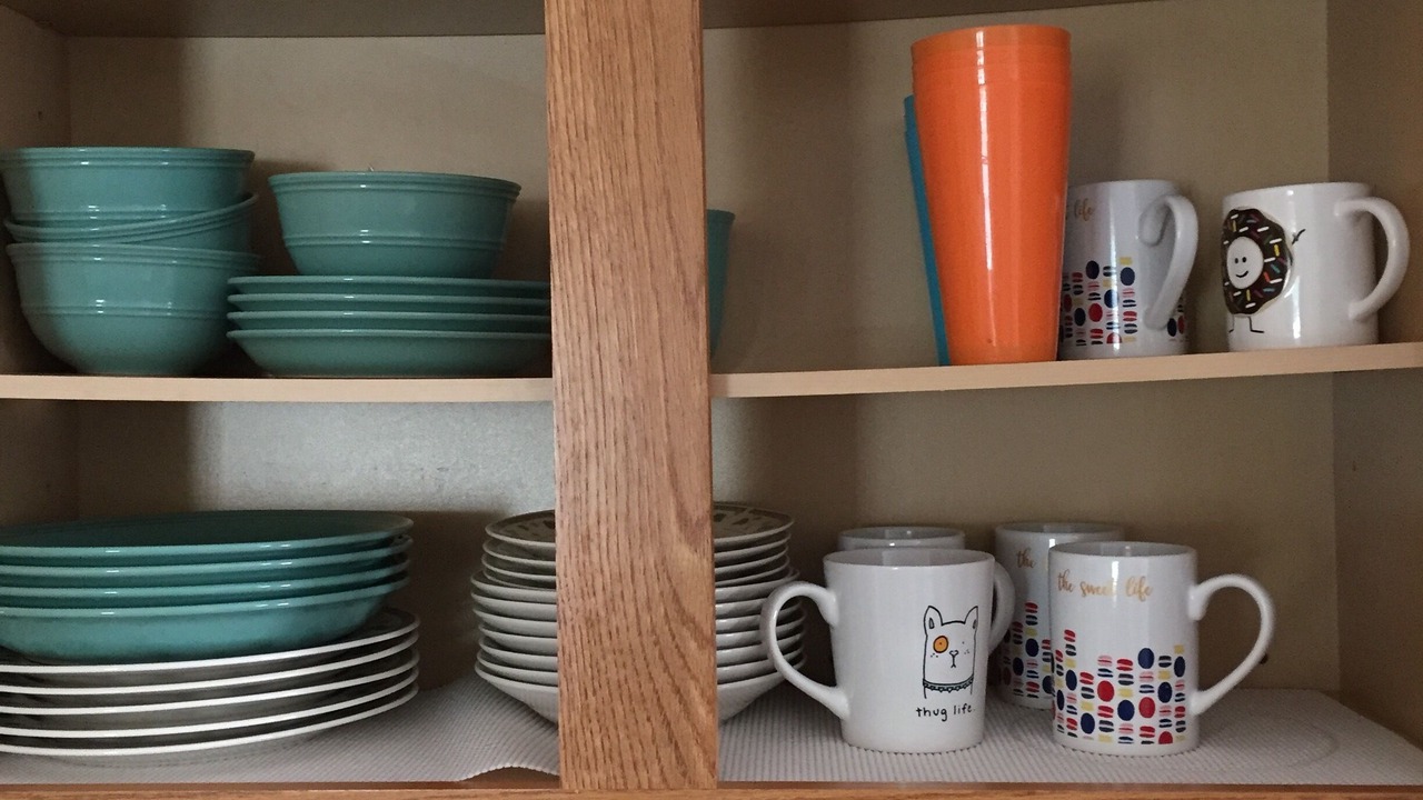 Photo of Others in Auburn