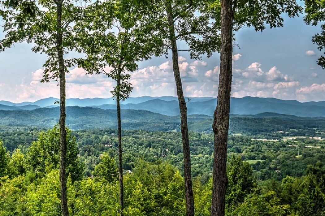 Photo of Others in Murphy