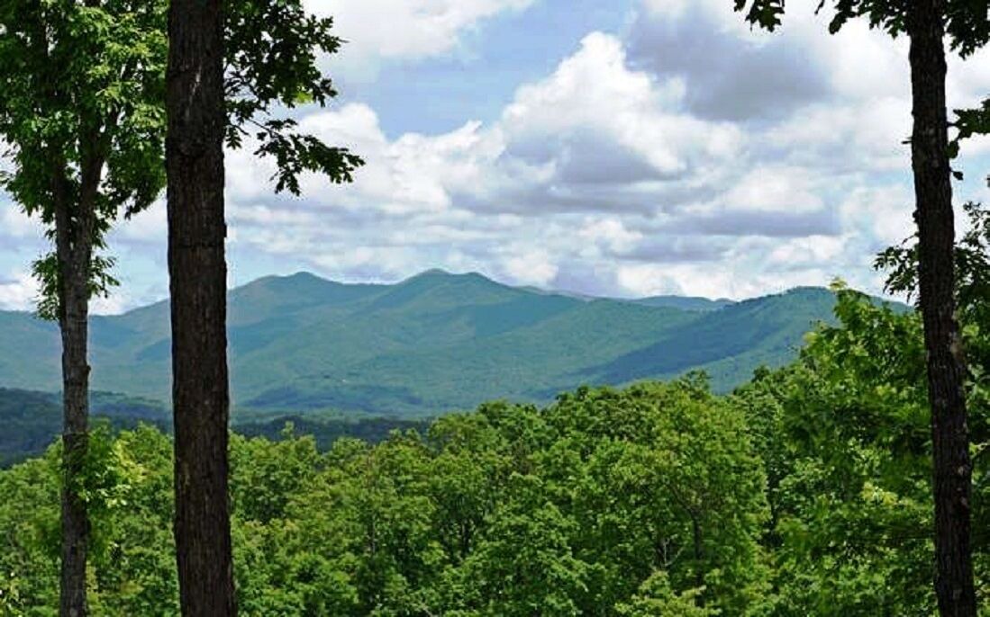 Photo of Others in Murphy