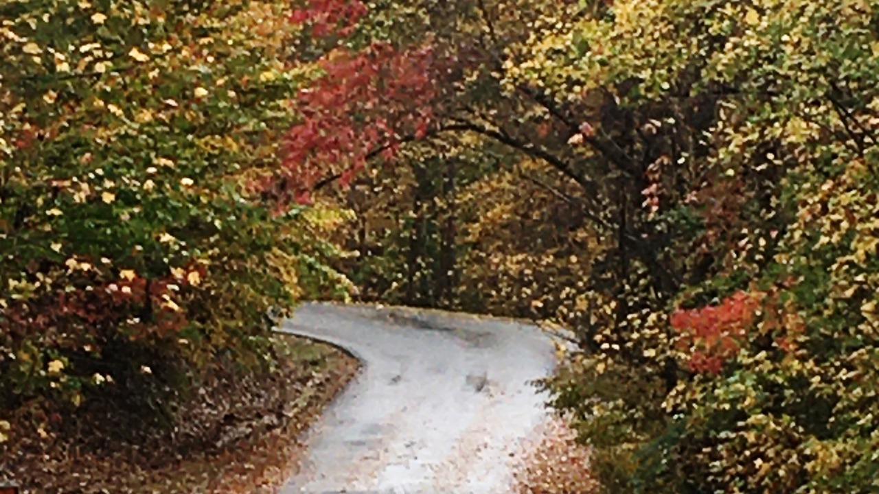 Photo of Others in Murphy