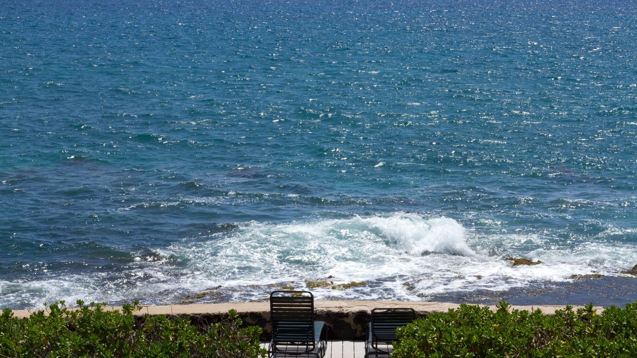 Photo of Others in Makaha