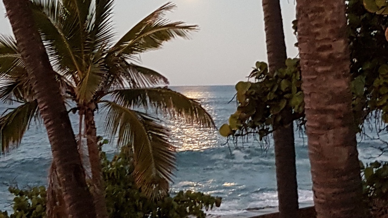 Photo of Others in Makaha