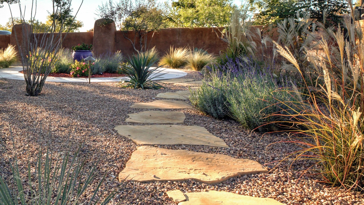 Photo of Outdoor in Los Griegos