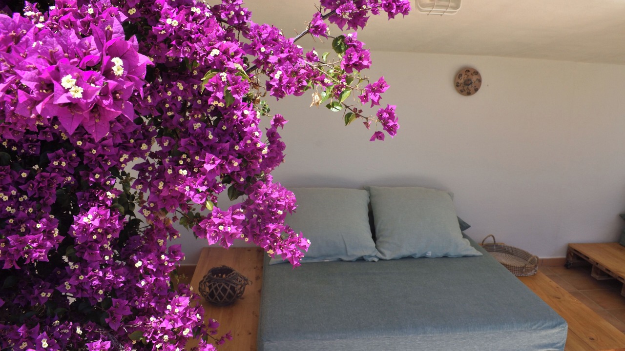 Photo of Bedroom in San Juan de Alicante