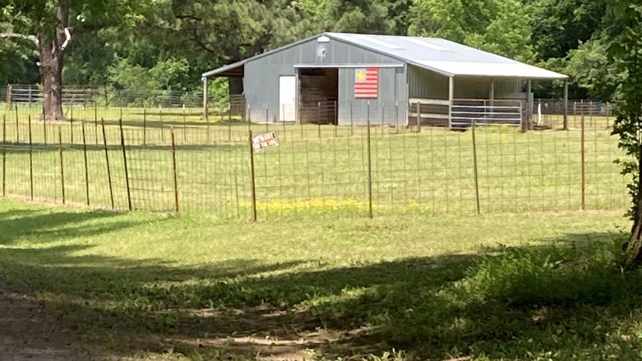 Photo of Outdoor in Heber Springs