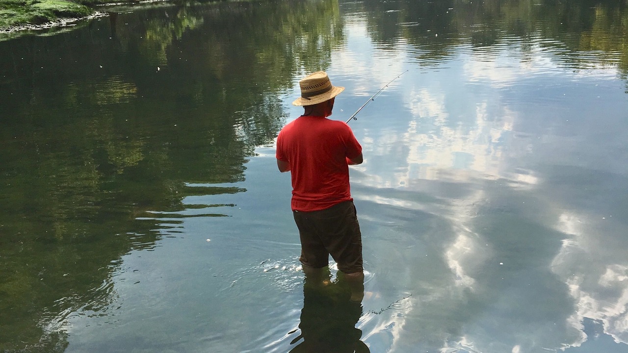 Photo of Others in Heber Springs