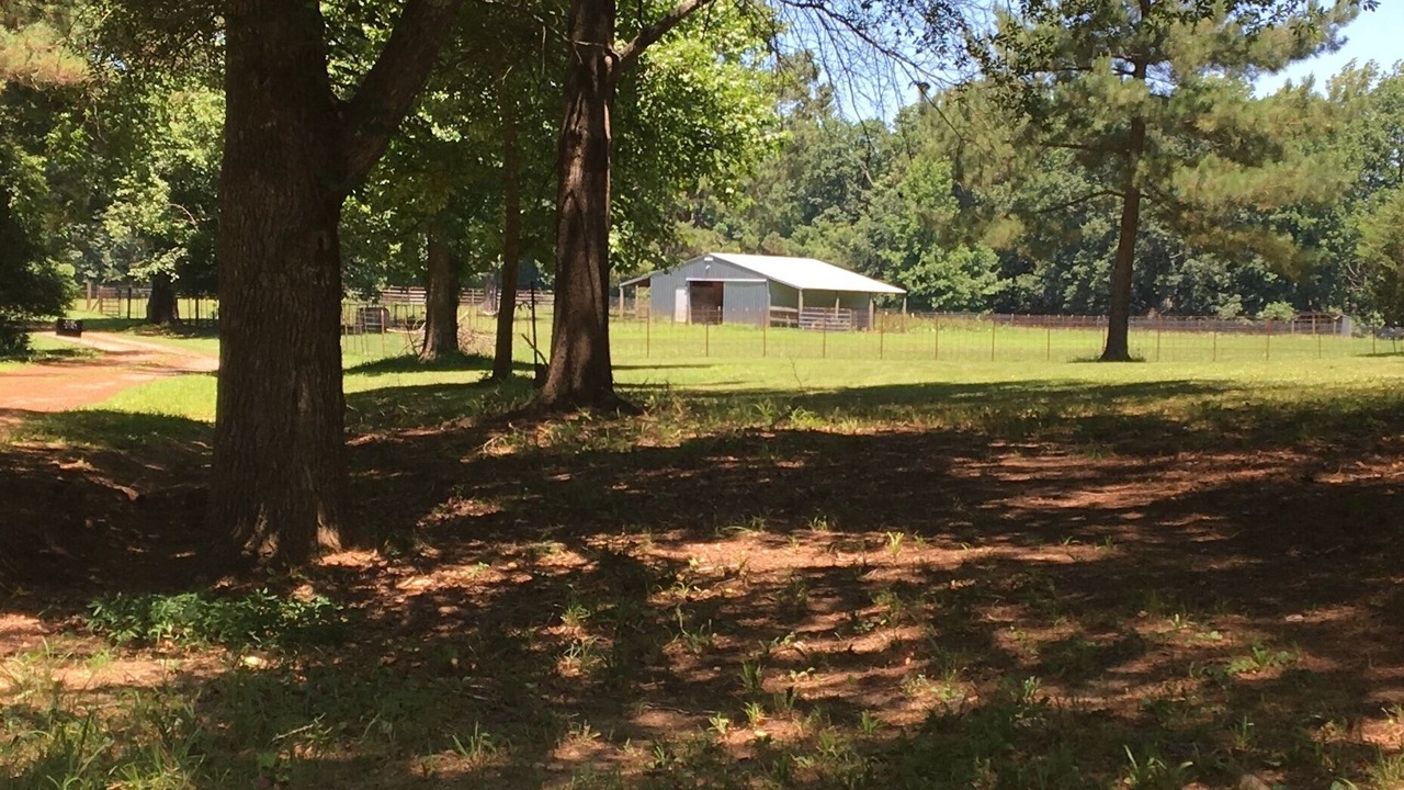 Photo of Outdoor in Heber Springs