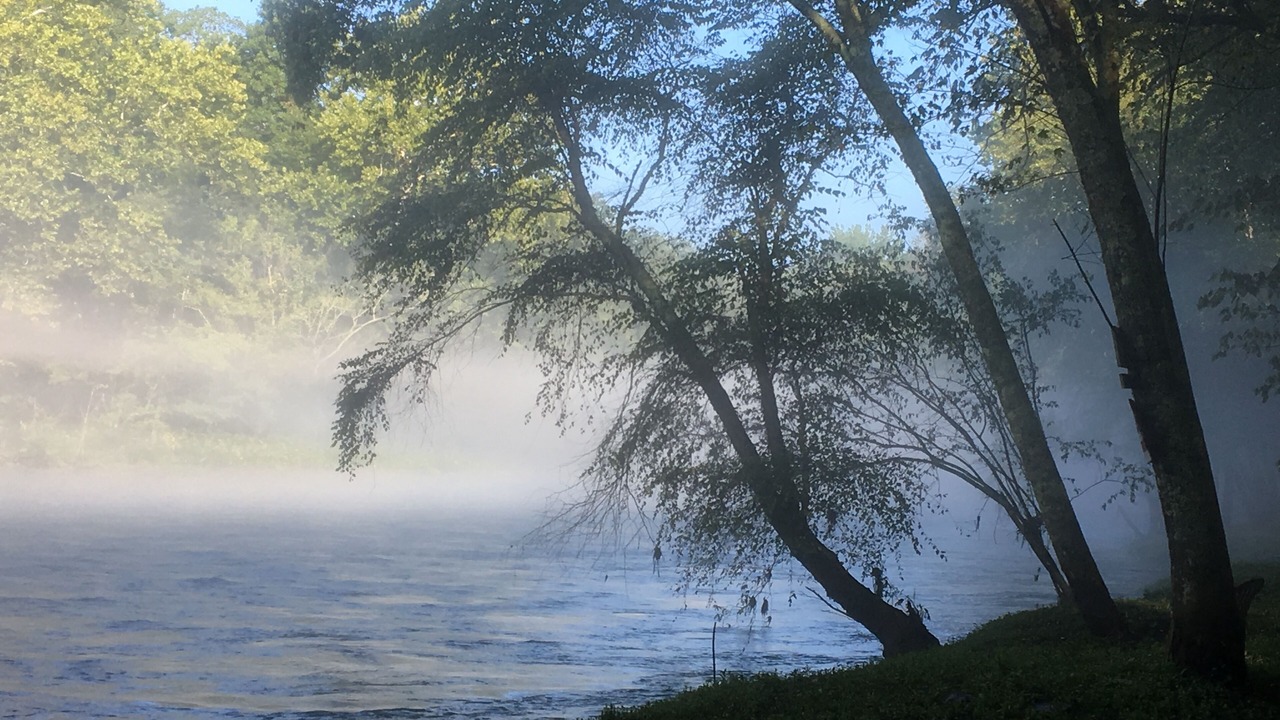 Photo of Others in Heber Springs