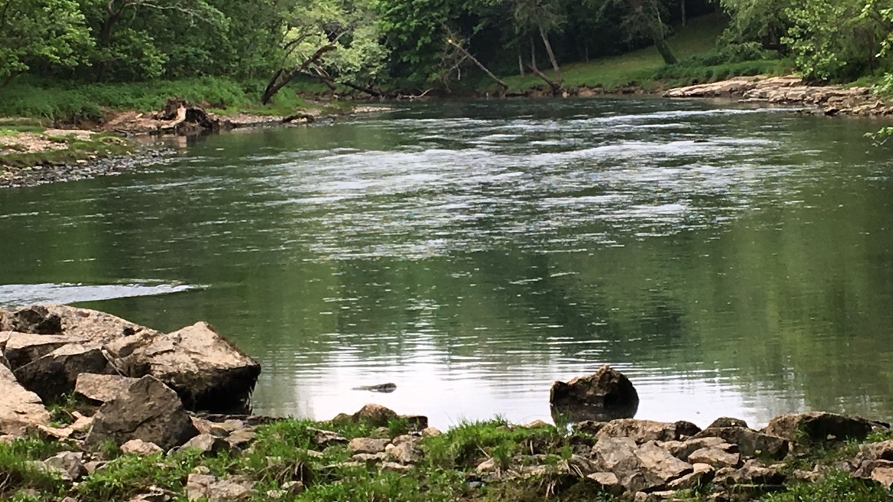Photo of Outdoor in Heber Springs