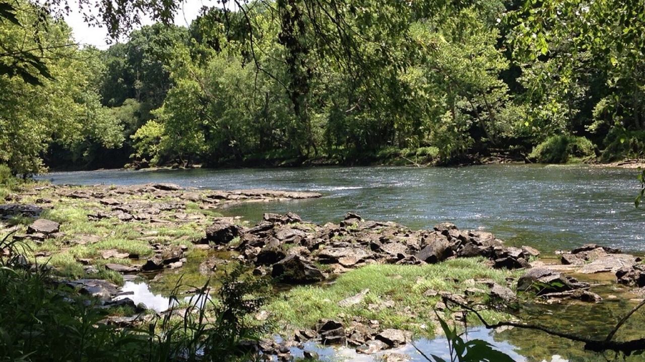 Photo of Others in Heber Springs