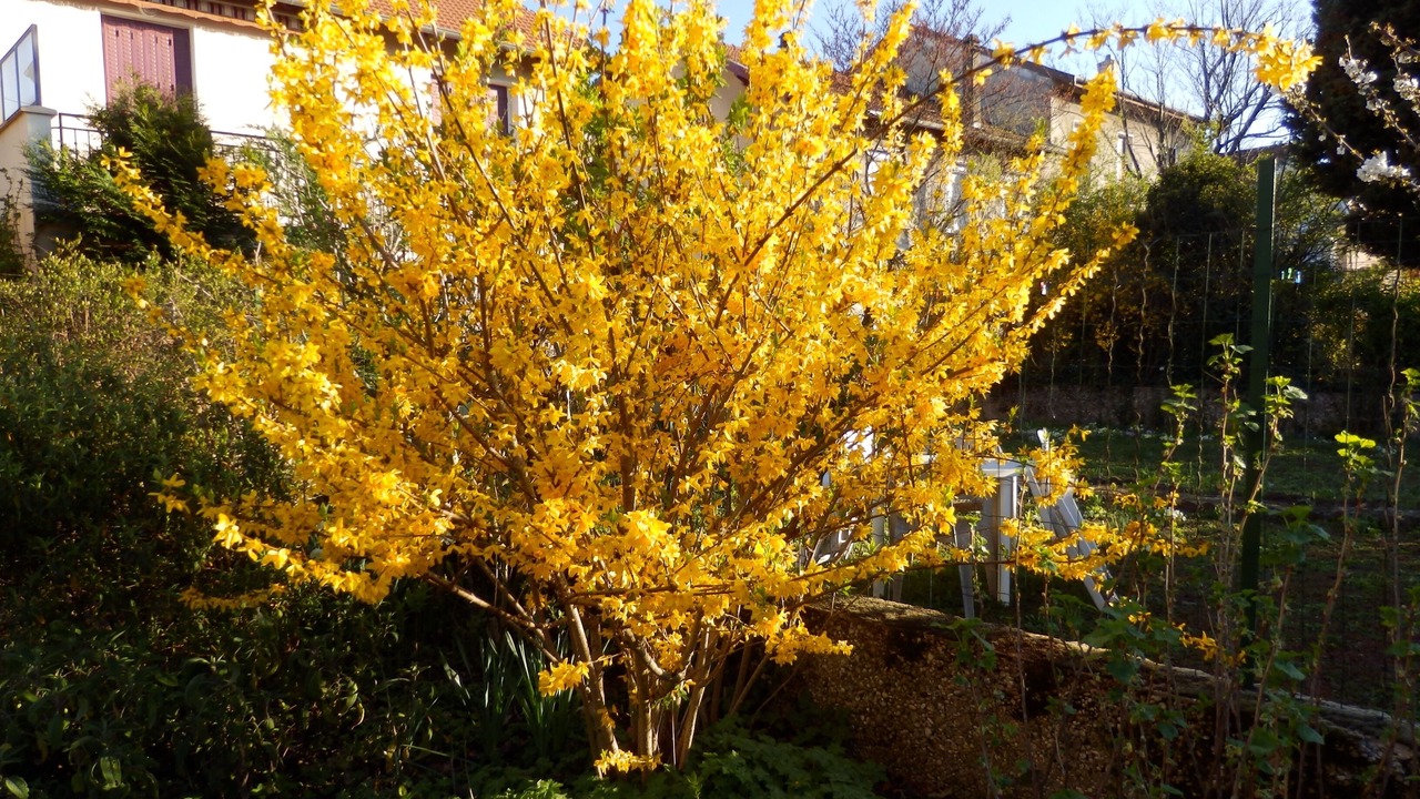 Photo of Outdoor in Etat Unis - Le Bocage