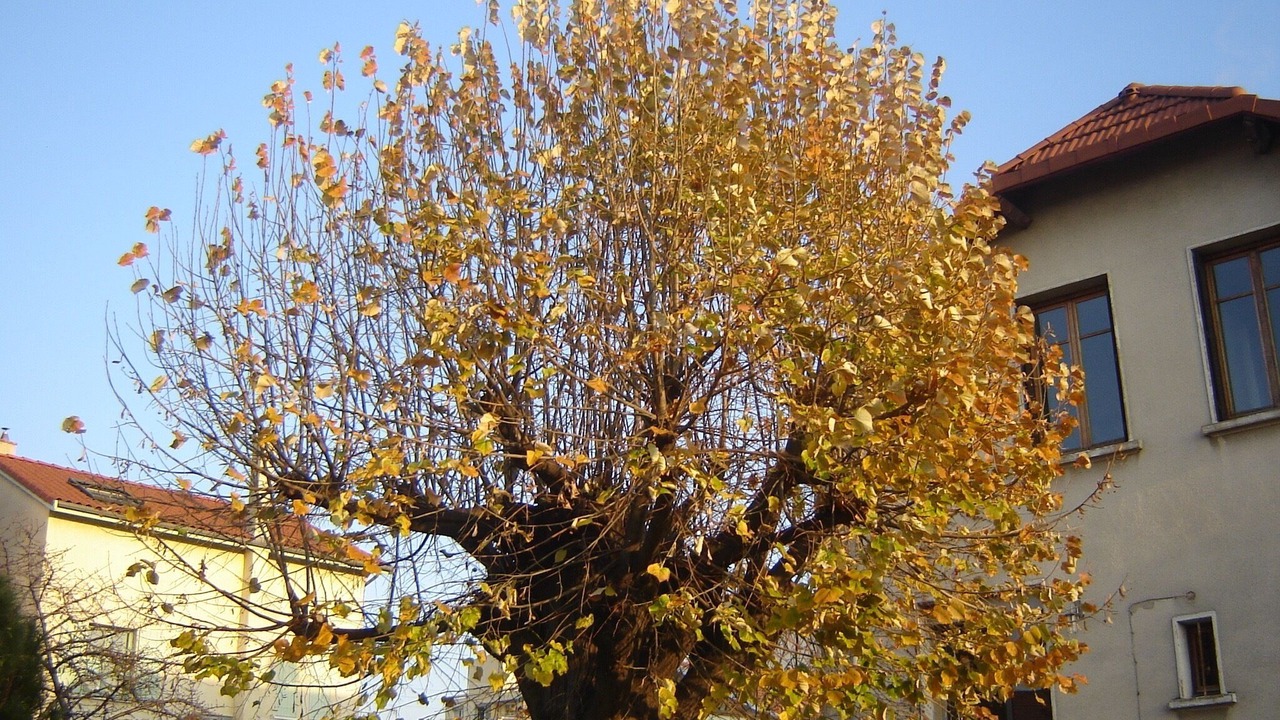 Photo of Outdoor in Etat Unis - Le Bocage