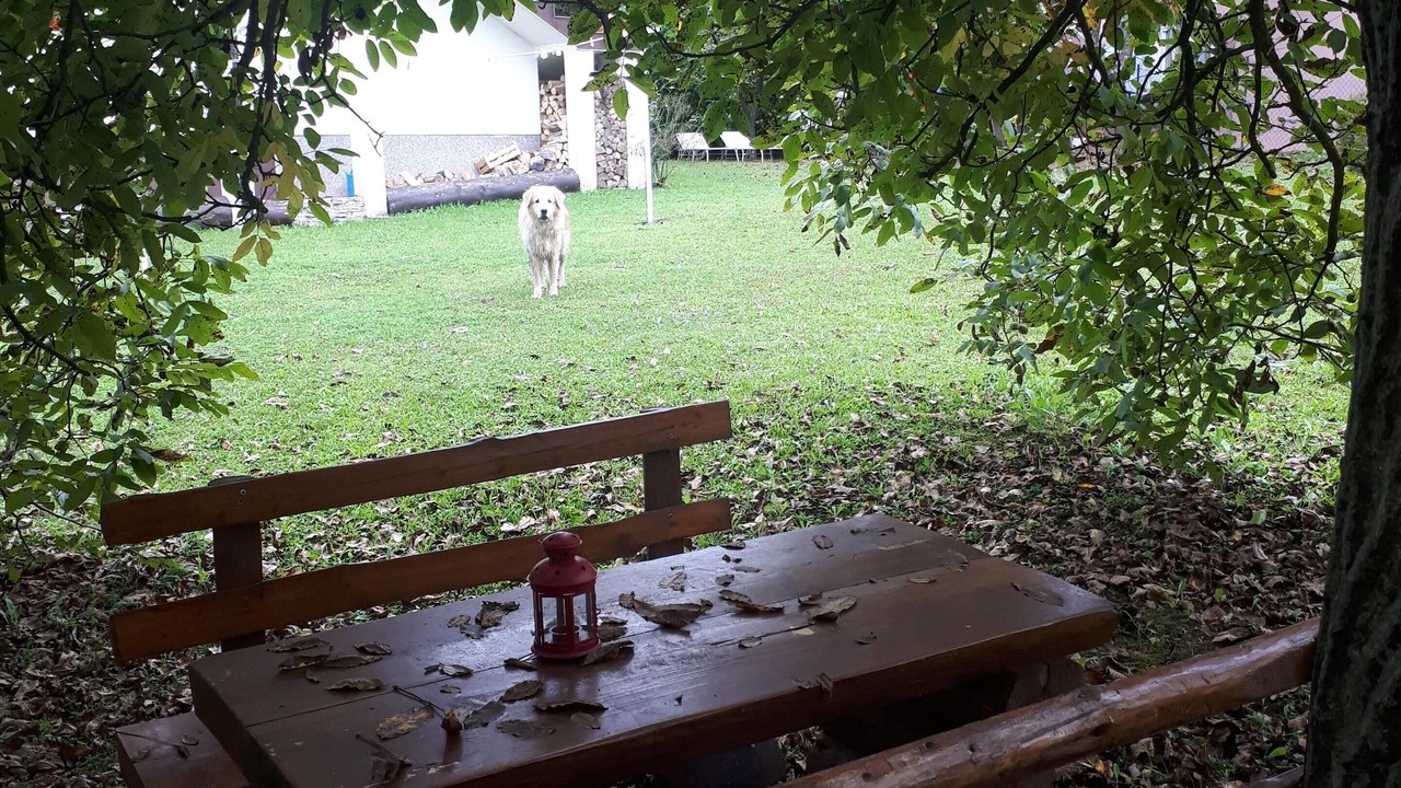 Photo of Outdoor in Grabovac