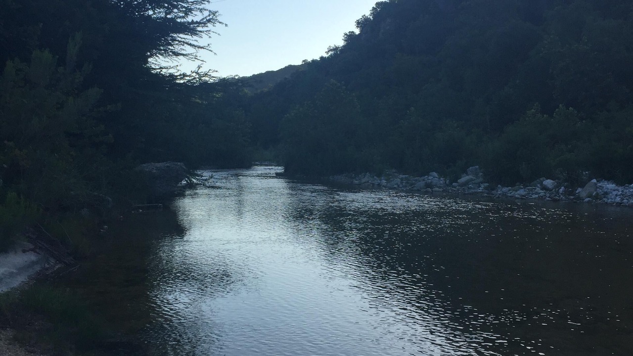 Photo of Others in Leakey