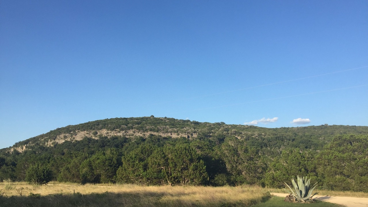 Photo of Others in Leakey