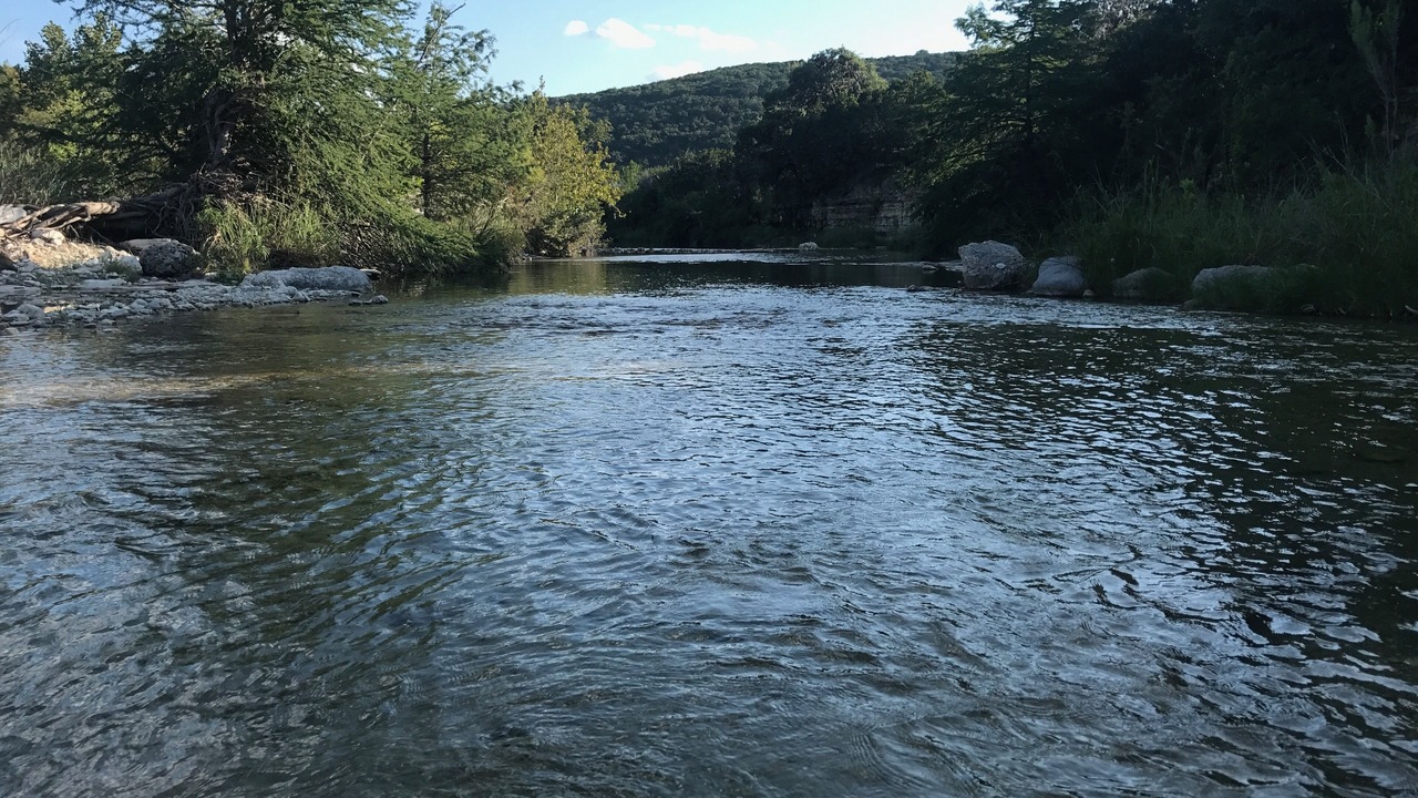 Photo of Others in Leakey