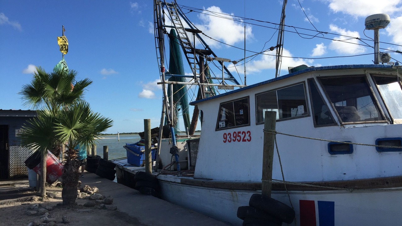 Photo of Outdoor in Port Lavaca