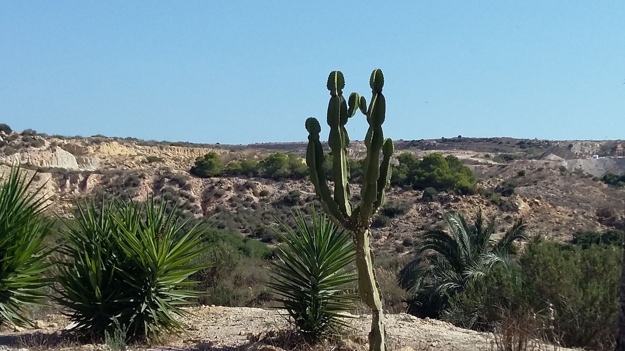 Photo of Outdoor in San Fulgencio