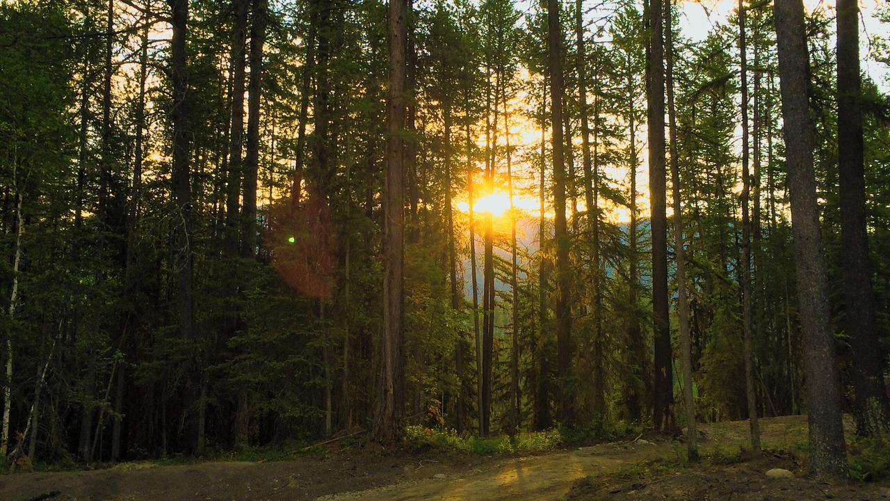 Photo of Others in Martin City