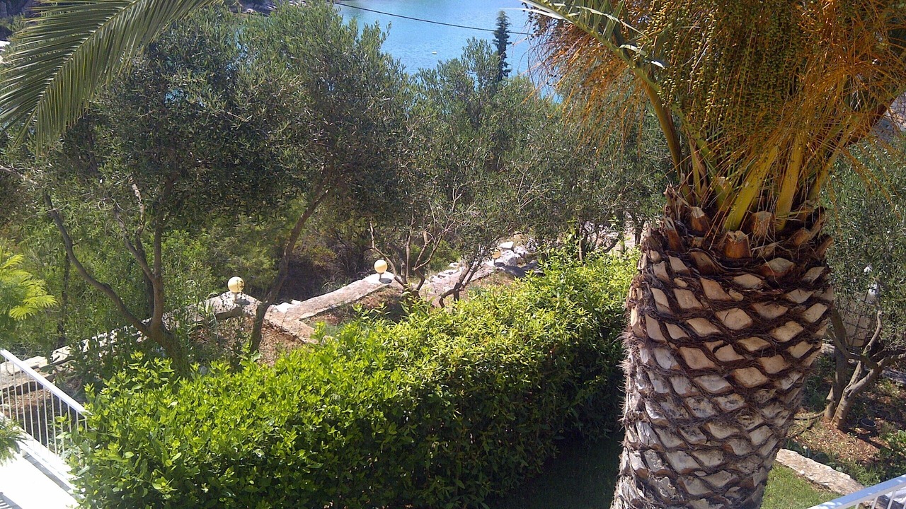 Photo of Outdoor in Hvar