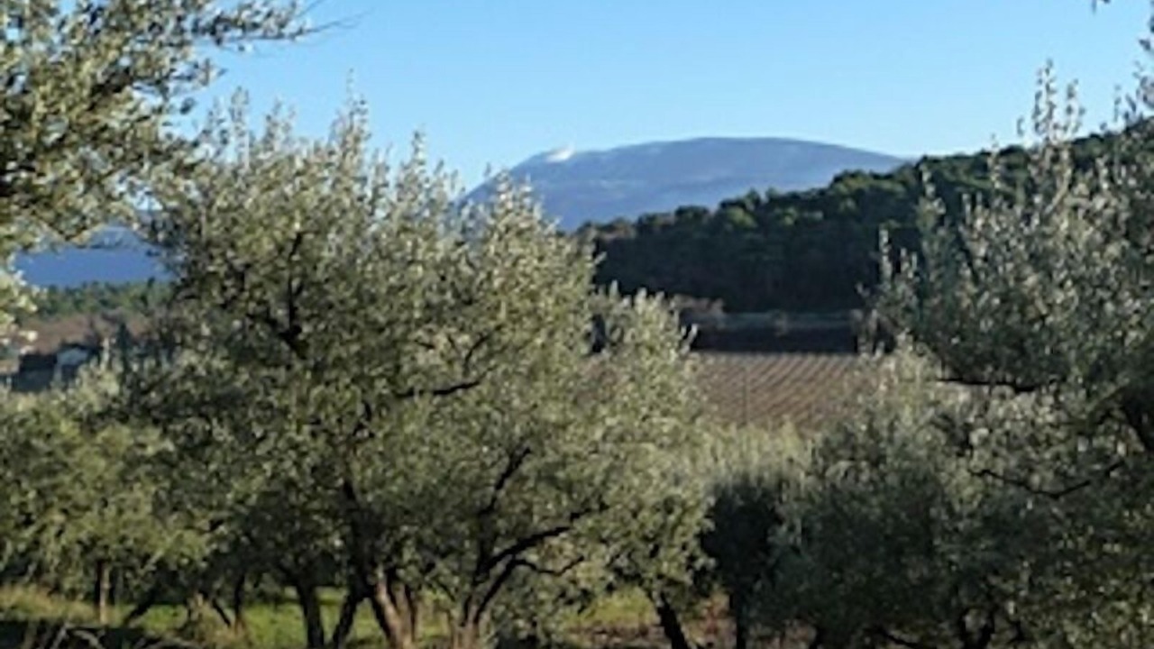 Photo of Outdoor in Faucon