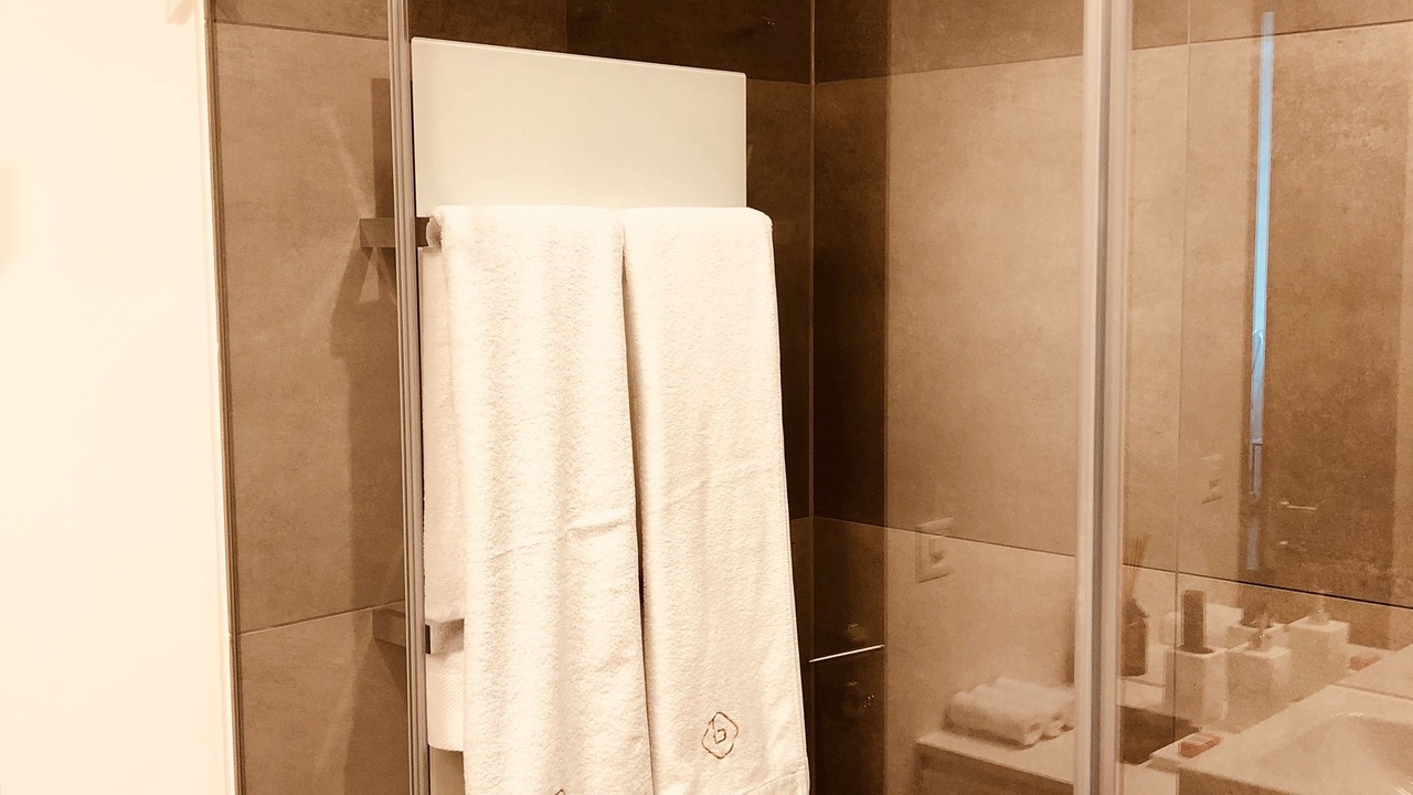 Photo of Bathroom in Zug