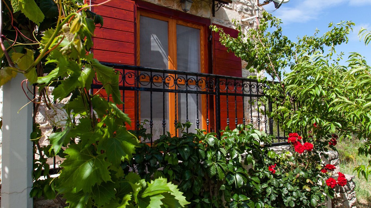 Photo of Outdoor in Donje Selo