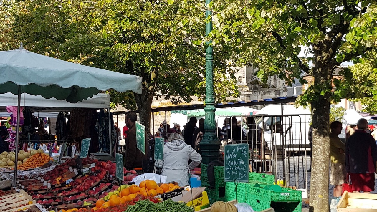 Photo of Others in Aclou