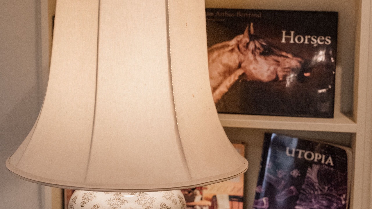 Photo of Livingroom in Scone