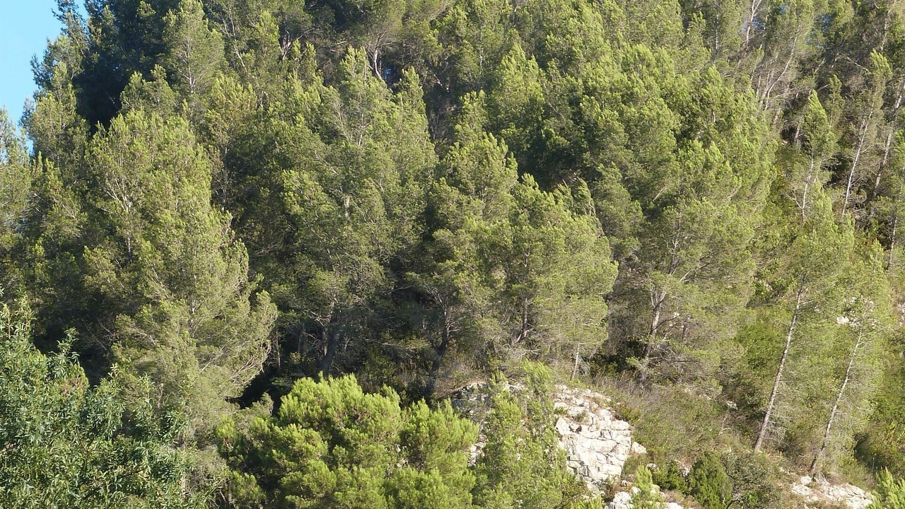Photo of Outdoor in Boulbon
