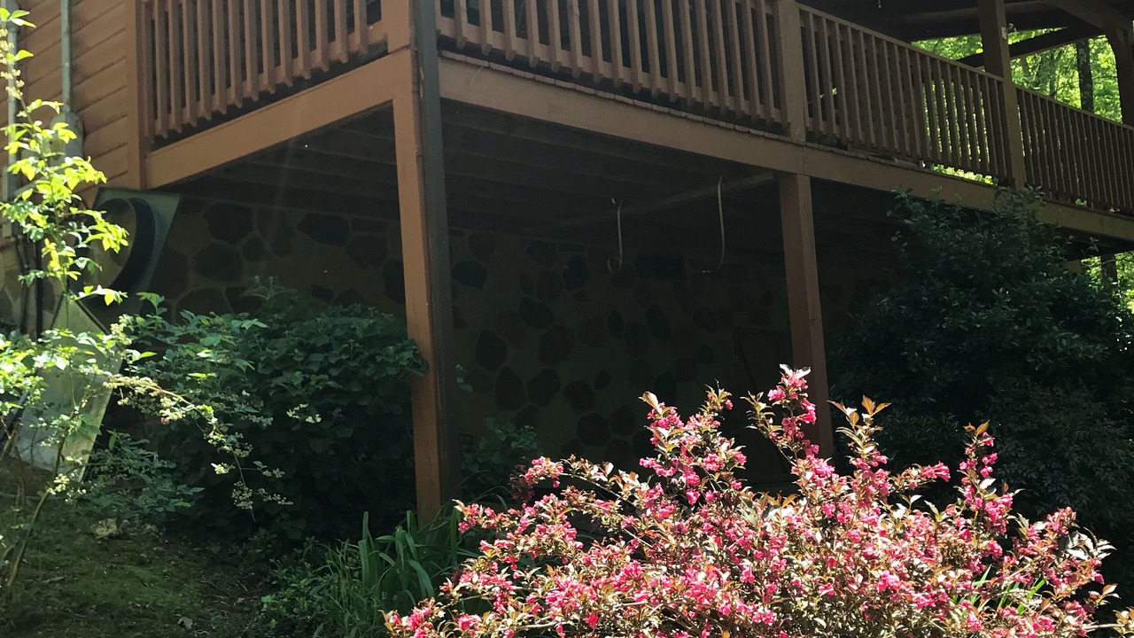 Photo of Outdoor in Cosby