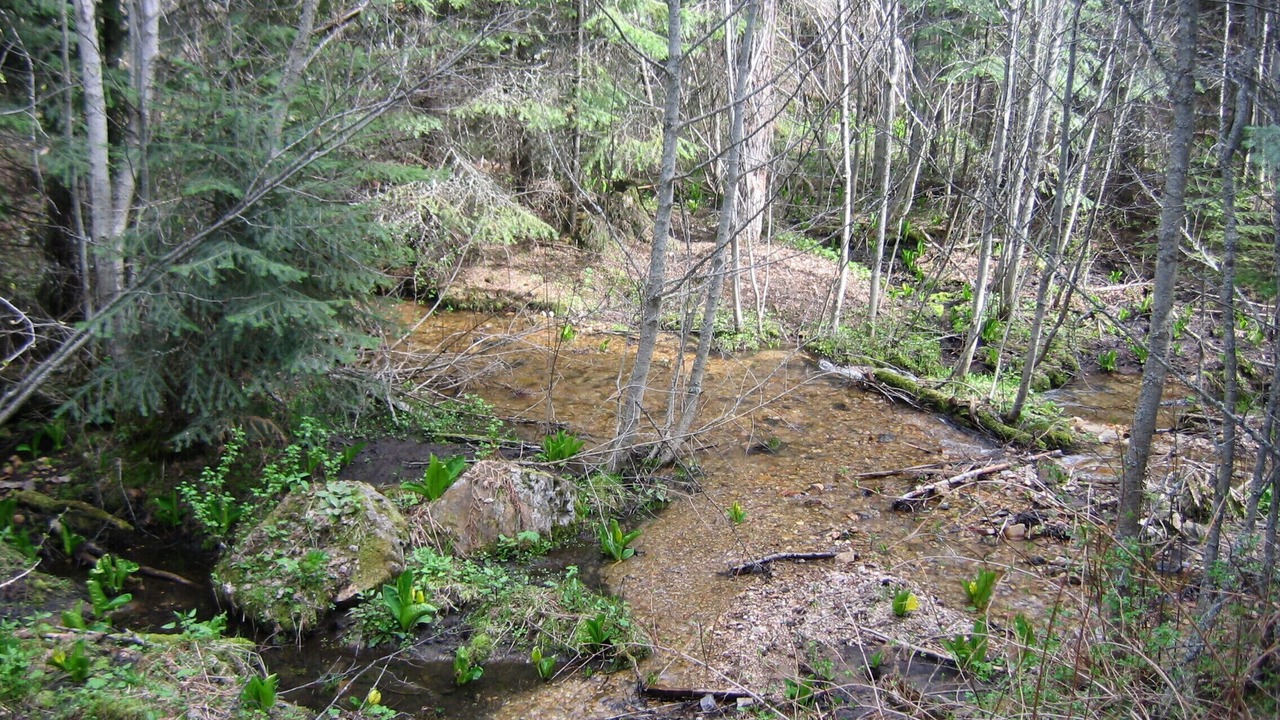 Photo of Outdoor in Hunters