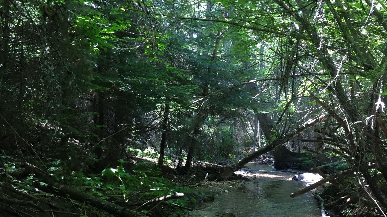 Photo of Outdoor in Hunters