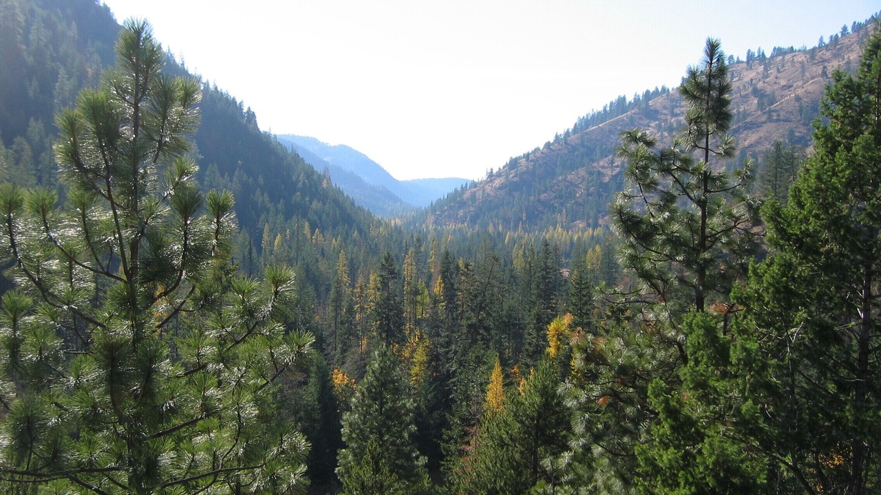 Photo of Outdoor in Hunters