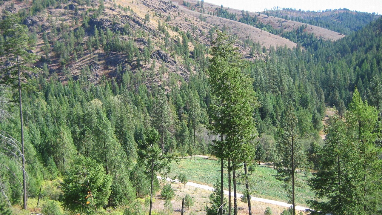 Photo of Outdoor in Hunters