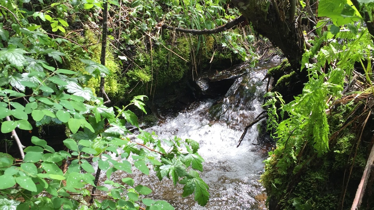 Photo of Outdoor in Hunters