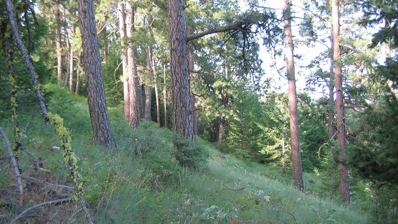 Photo of Outdoor in Hunters