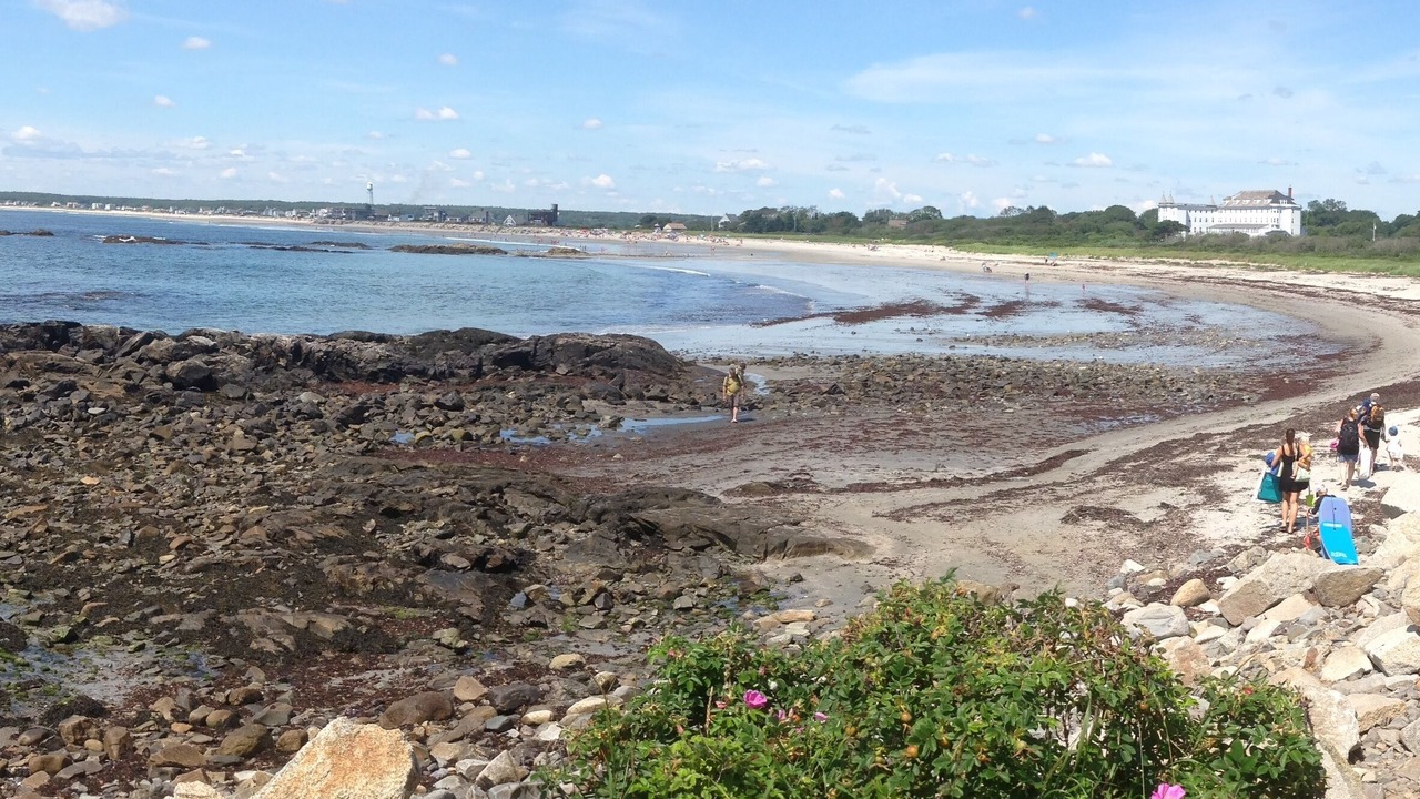 Photo of Others in Biddeford Pool