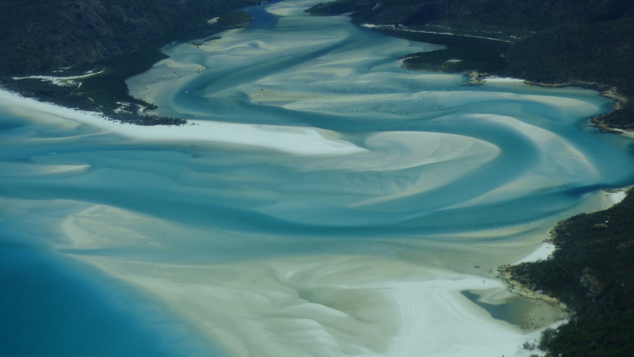 Photo of Others in Airlie Beach