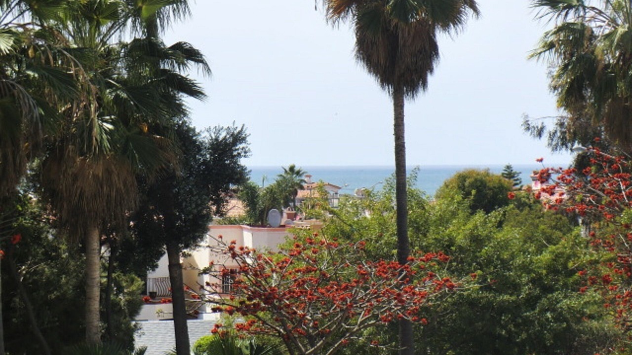 Photo of Others in Loma Dorada