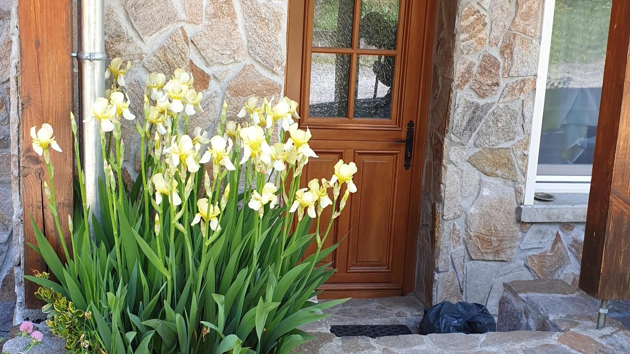 Photo of Outdoor in Ascou