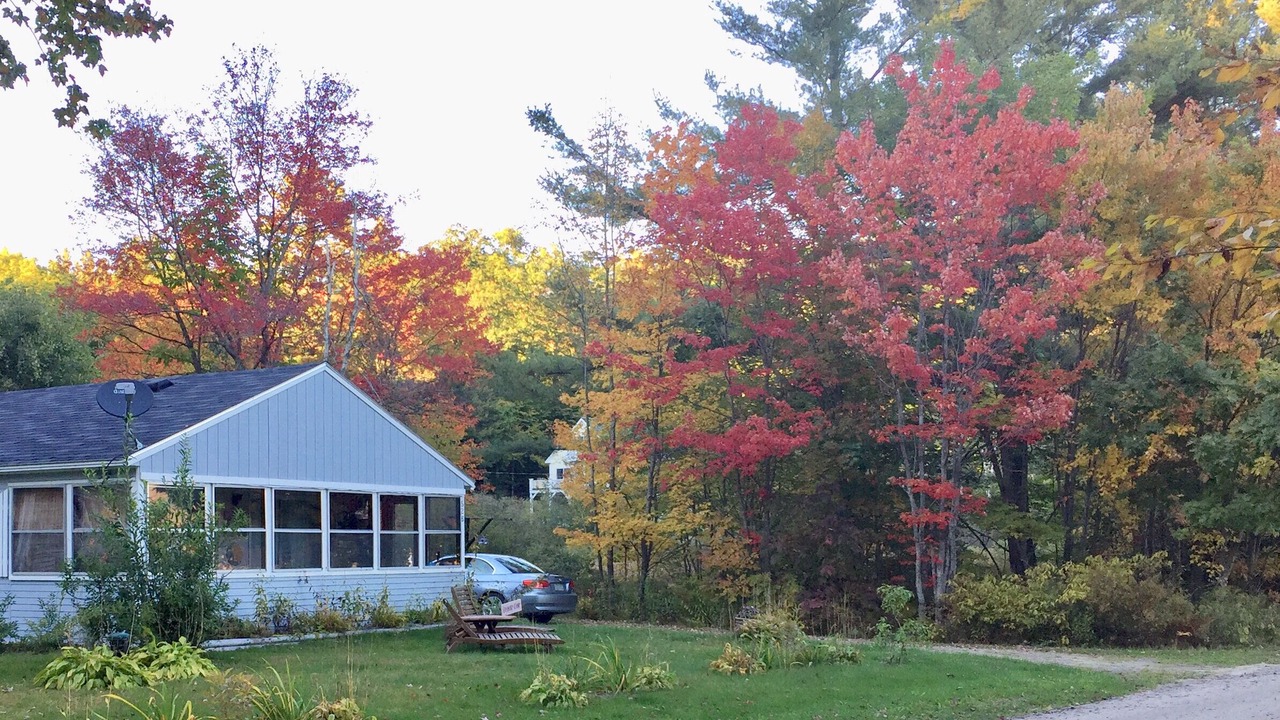 Photo of Others in Munsonville