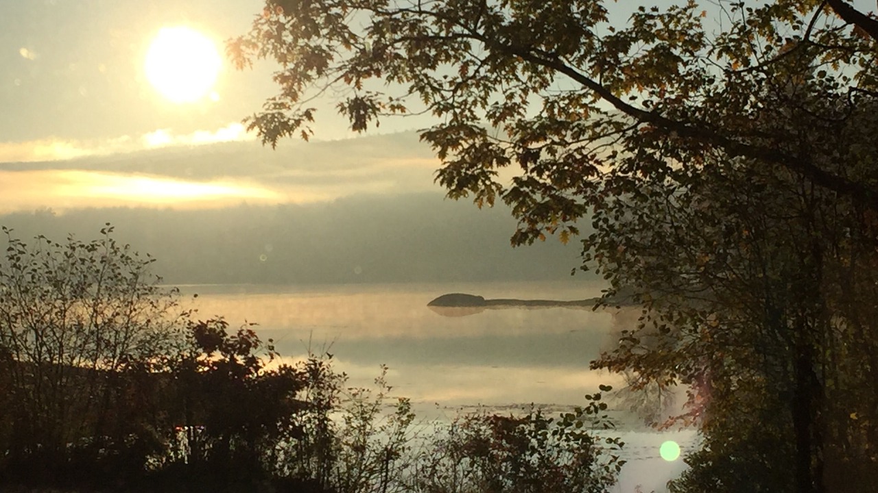 Photo of Others in Munsonville