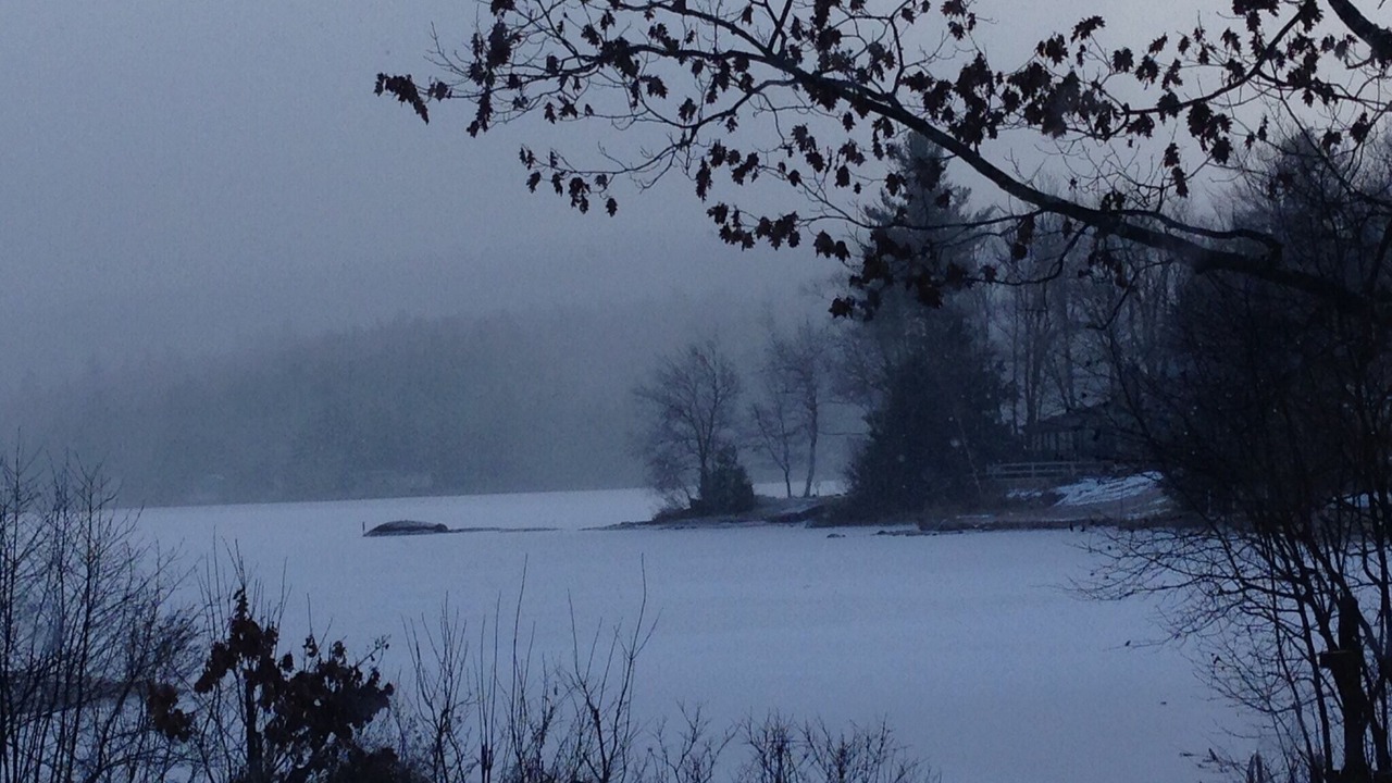 Photo of Others in Munsonville