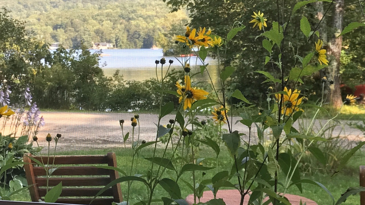 Photo of Outdoor in Munsonville